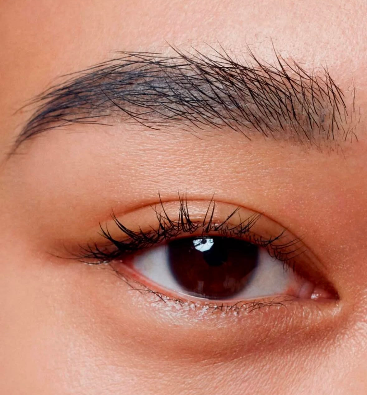 Glue Brow| Gel de cejas