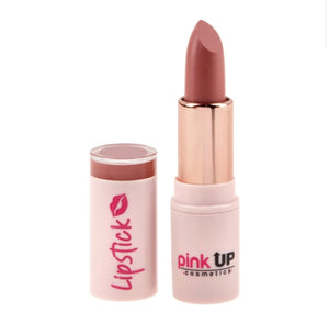 Labial Barra /Pink up