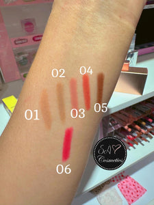 Mood Matte labial Barra Dapop